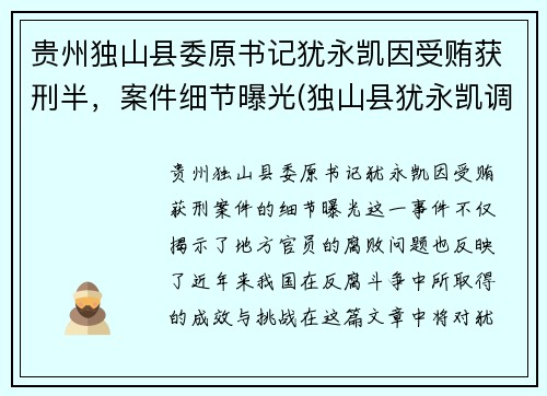 贵州独山县委原书记犹永凯因受贿获刑半，案件细节曝光(独山县犹永凯调到哪里了)