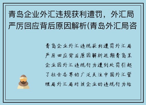 青岛企业外汇违规获利遭罚，外汇局严厉回应背后原因解析(青岛外汇局咨询电话)