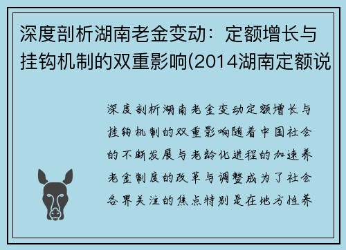 深度剖析湖南老金变动：定额增长与挂钩机制的双重影响(2014湖南定额说明及计算规则)